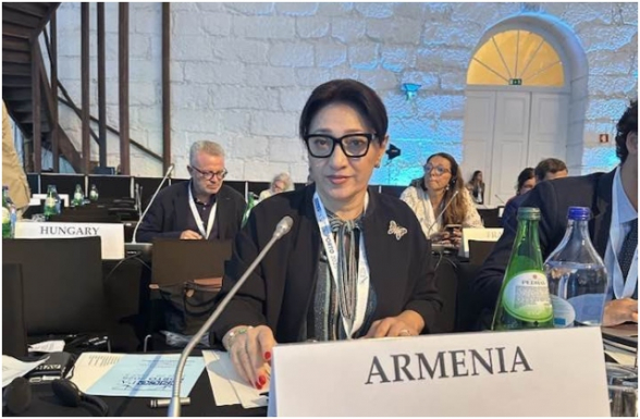 Ամենացավալին այն է, երբ այլ երկրների պատվիրակներ քեզ հարցնում են, ինչո՞ւ ձեր պատվիրակությունը չի միացել նախաձեռնությանը